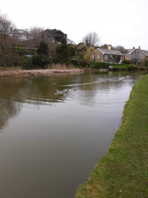 Bude Canal