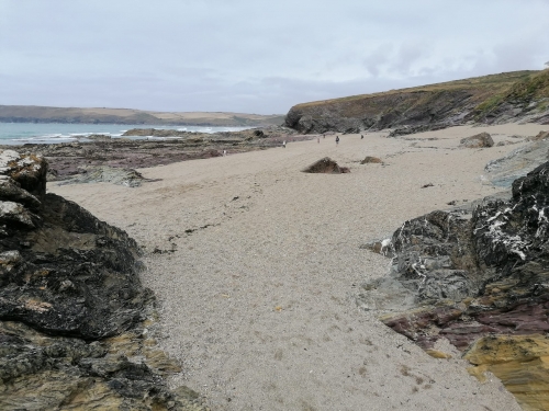 Searching for Cowrie Shells!